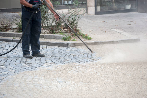 Best Animal Enclosure Cleaning  in Salineville, OH