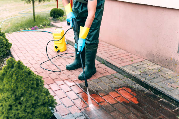 Best Animal Enclosure Cleaning  in Salineville, OH