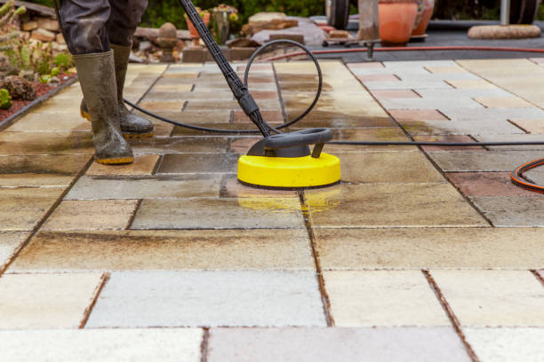 Best Pre-Holiday Cleaning  in Salineville, OH